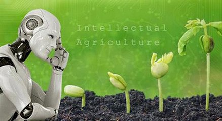 人工智能如何引領(lǐng)農(nóng)業(yè)的落地應(yīng)用